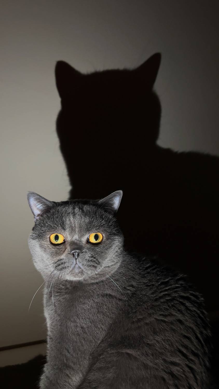 Фотография #13452099