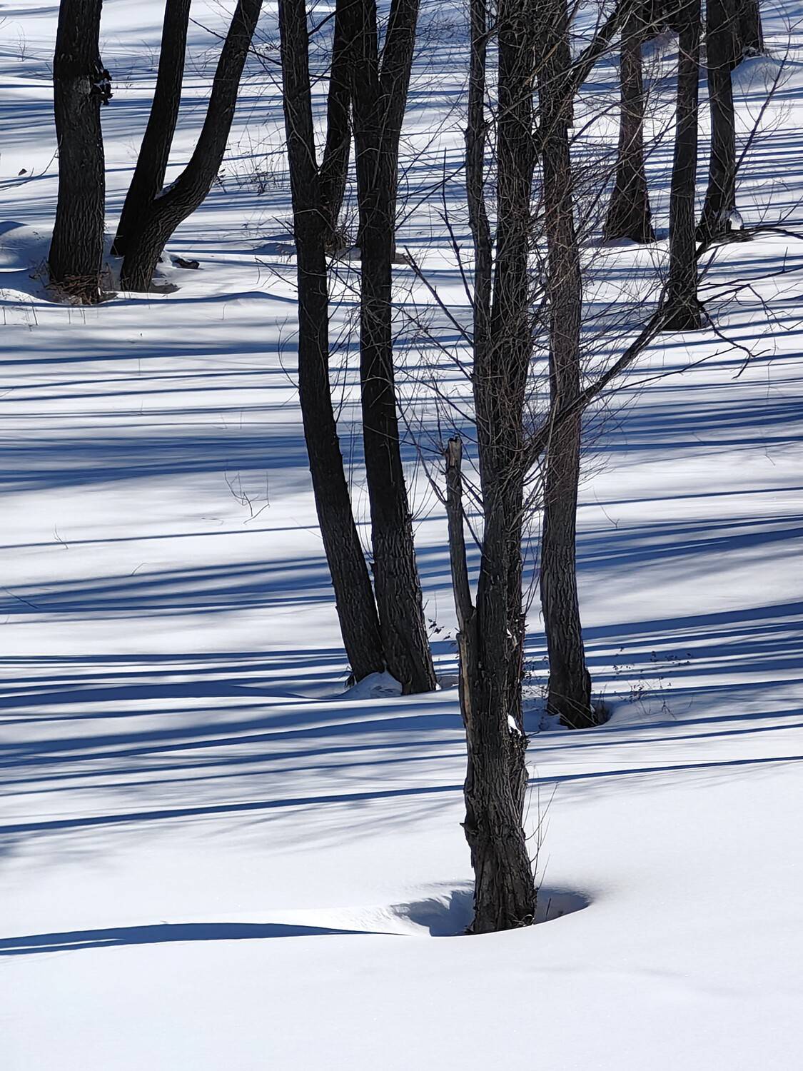 Полосатый пейзаж