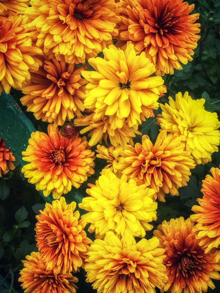 Игра красок