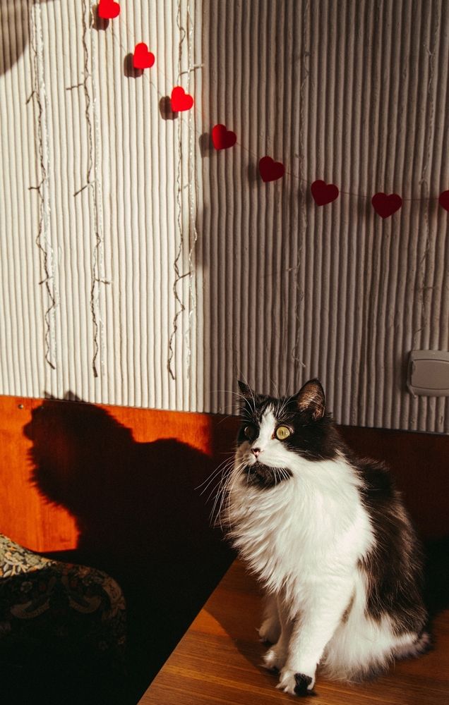 Photograph by Анастасия Лидяева