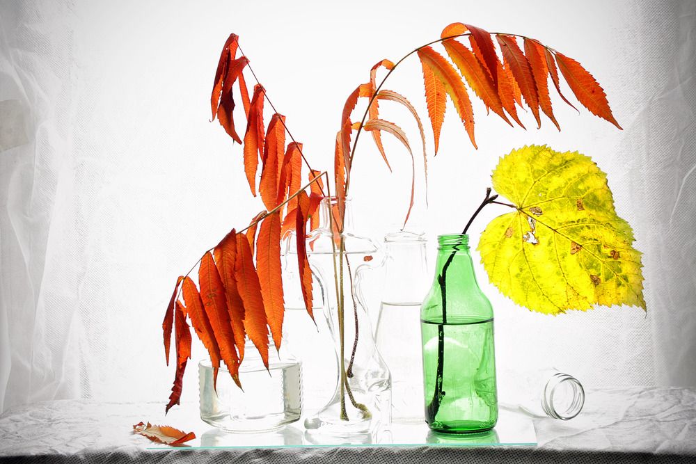 Photograph by Vitaliy Saposhnikov