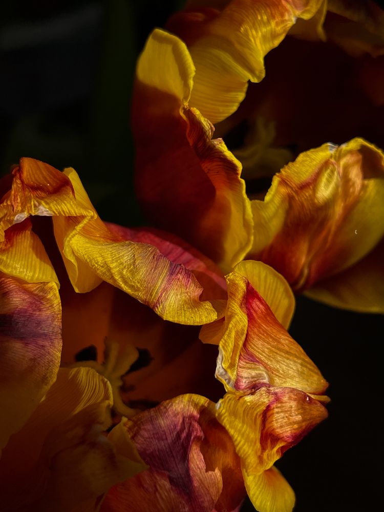 Photograph by Светлана Савина