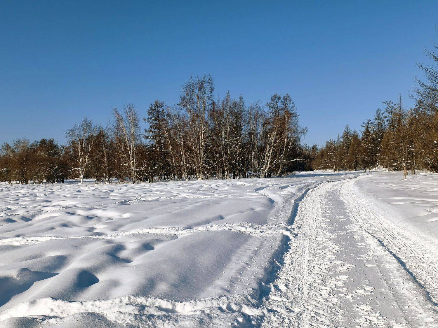 Весенняя дорога