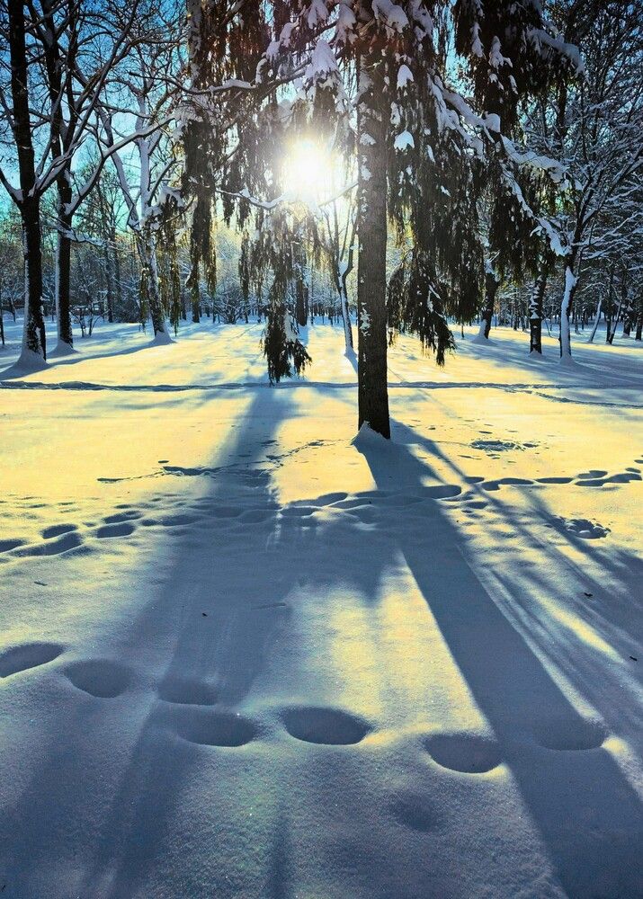 Утром