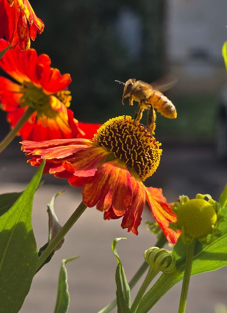 Photograph by Ирина Хлебникова