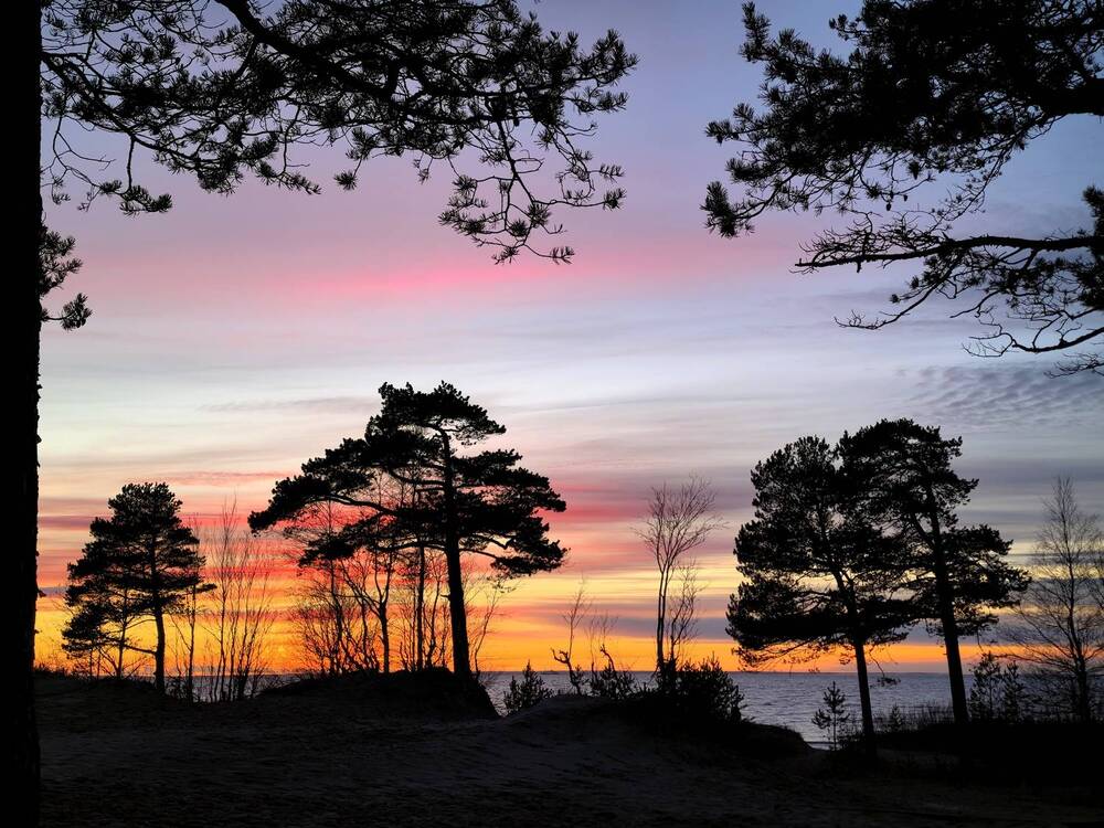 Photograph by Дина Калинина