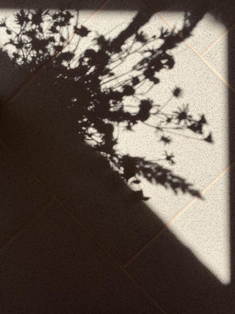 Photograph by Елена Альмяшева