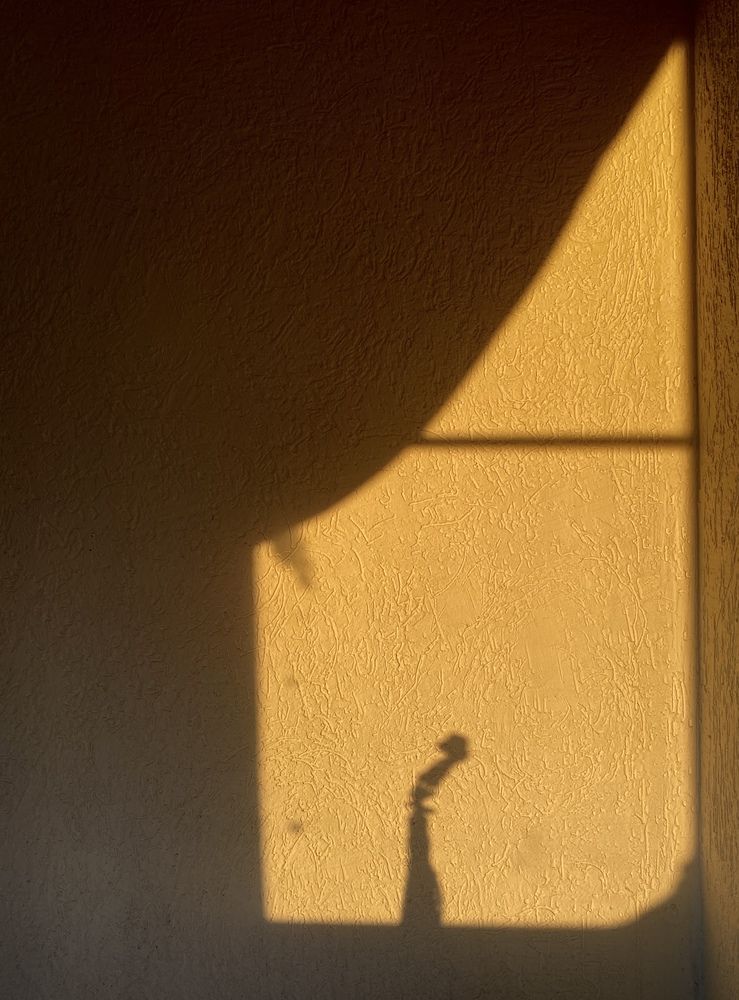 Photograph by Елена Альмяшева