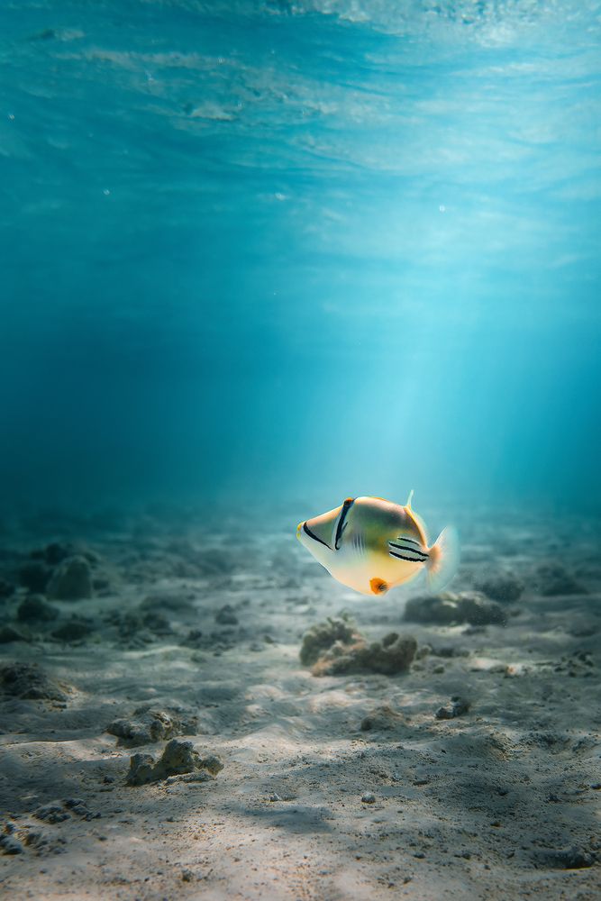 Photograph by Aleksandr Solovev