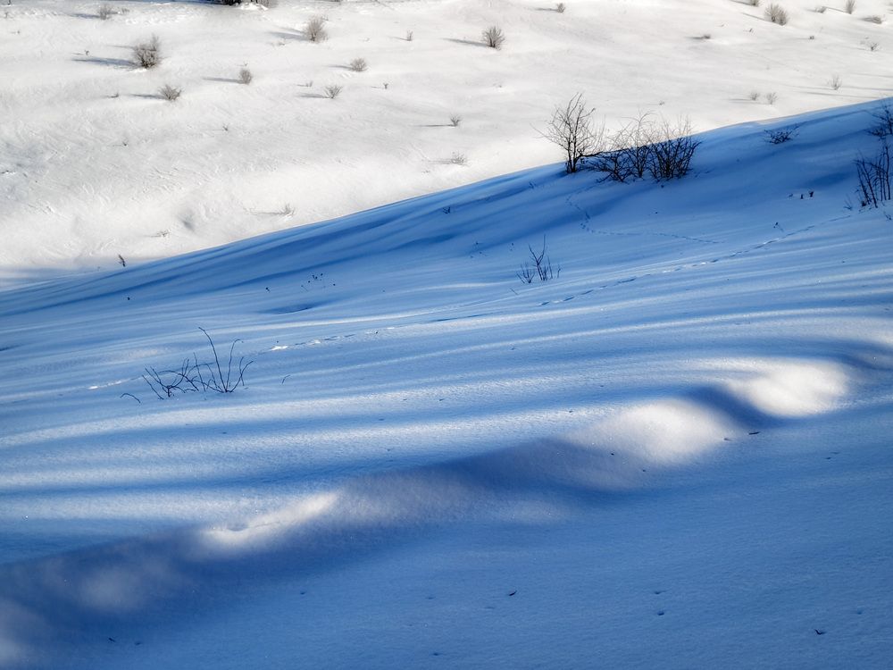 Photograph by Кондрашова Светлана