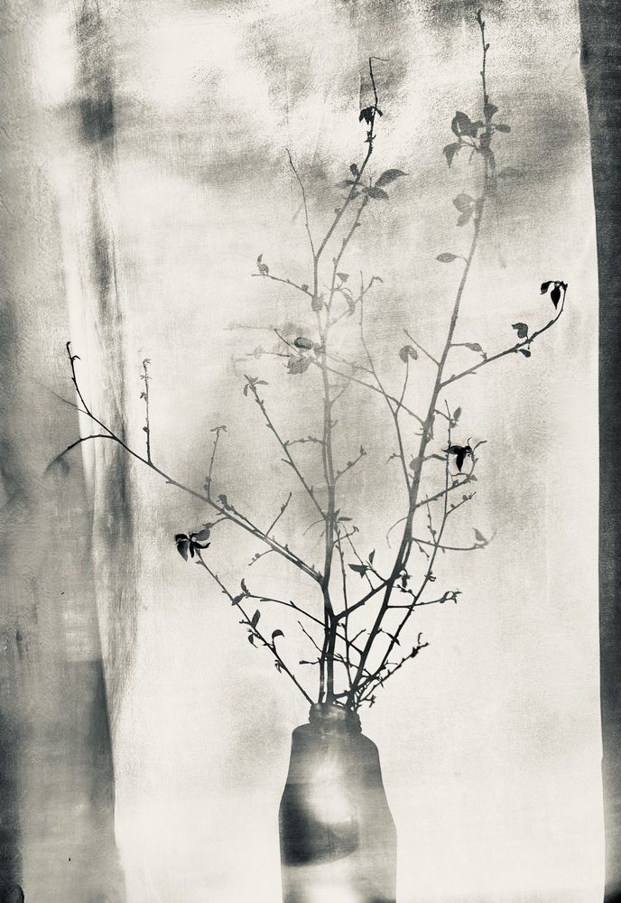 Photograph by Татьяна Шитлина