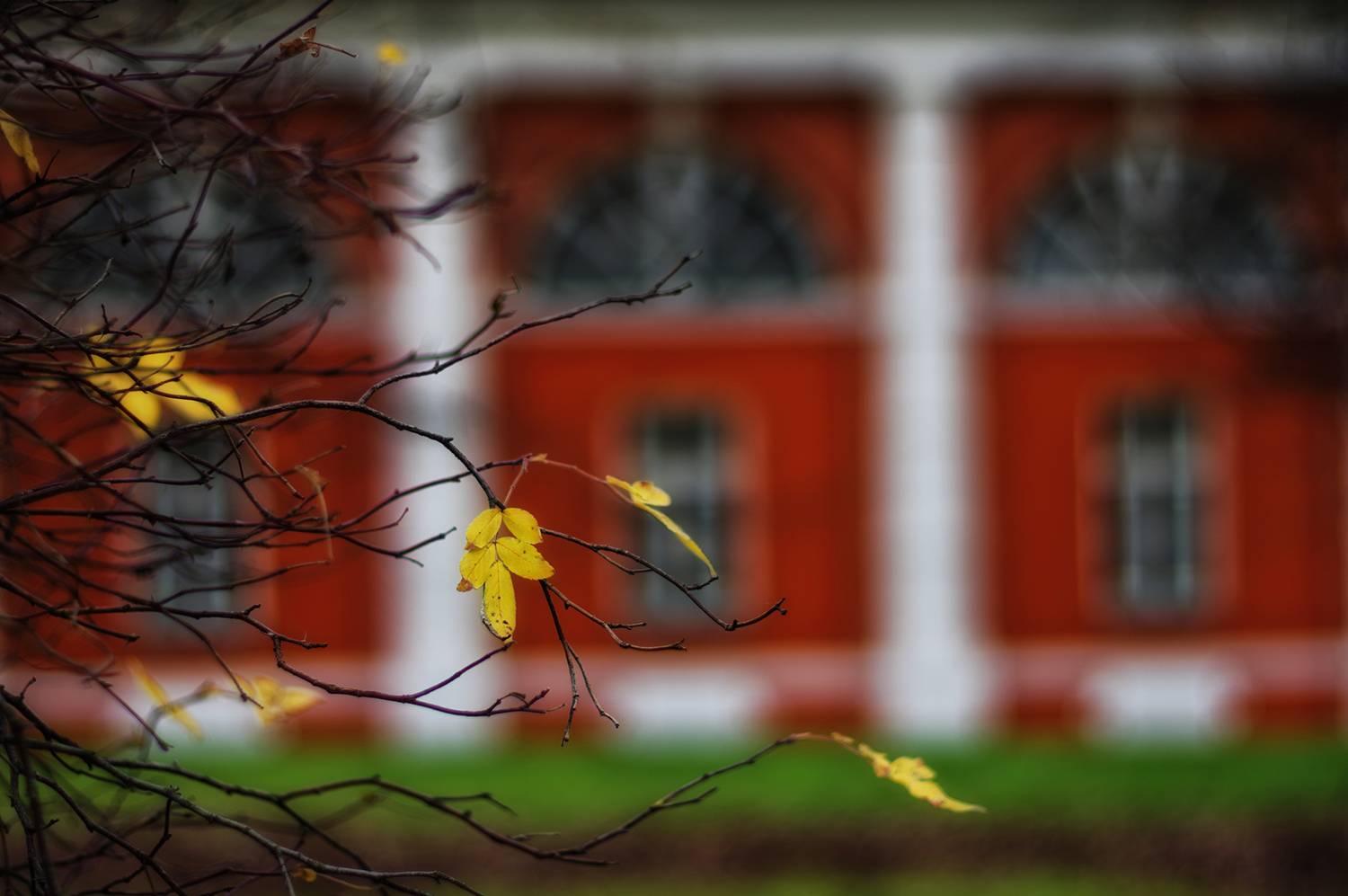 Осенний мотив.