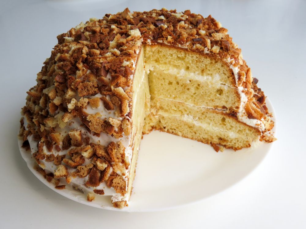 Sponge cake in section