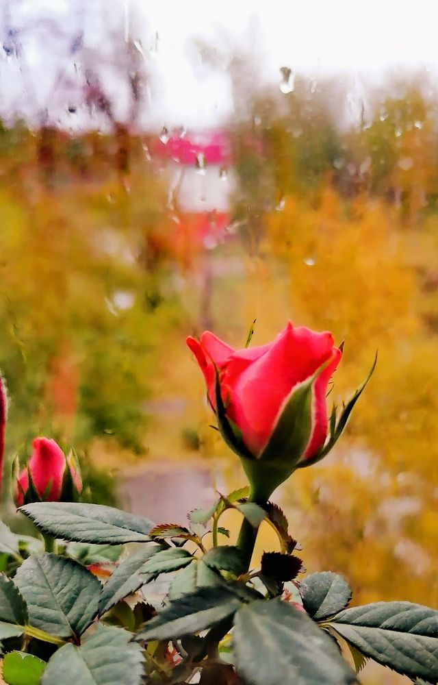 Photograph by Татьяна Бешенкина