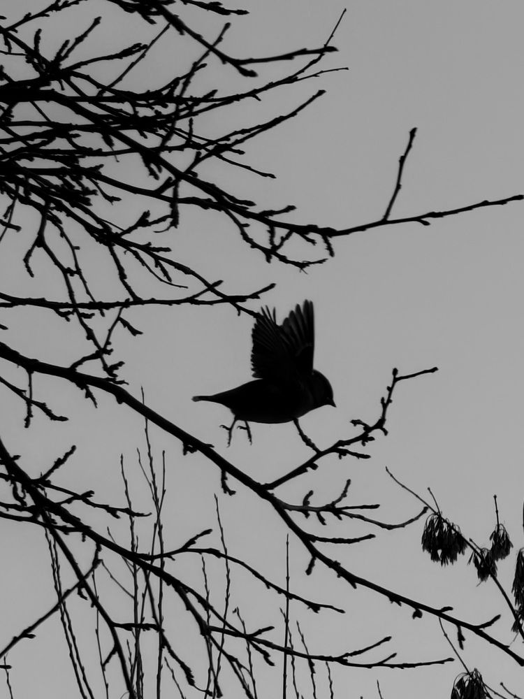 Photograph by Ксения Гулькова