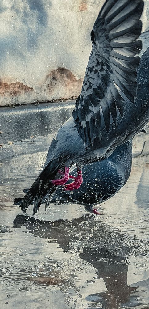 Photograph by Ксения Гулькова