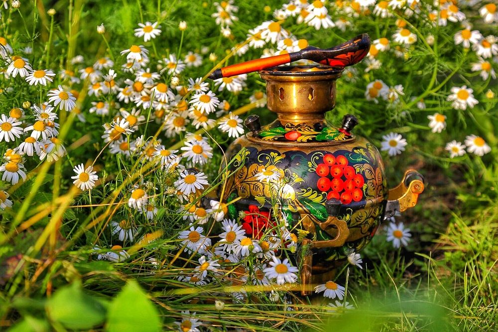 Фотография автора Александр Михайлов
