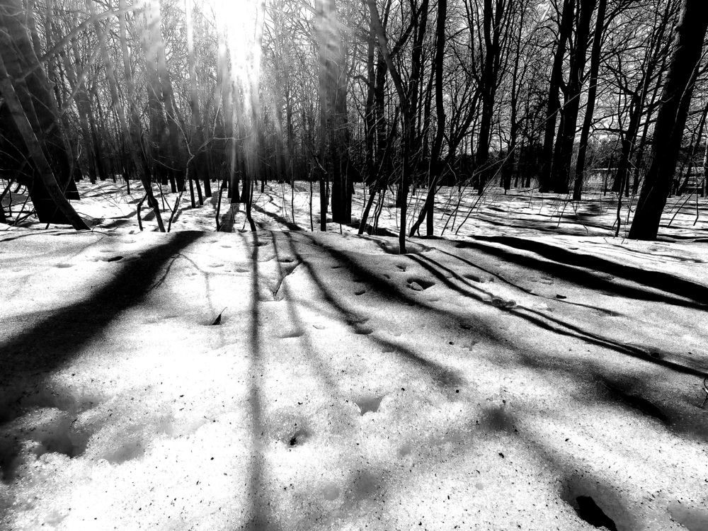 Photograph by Дарья Улюсова