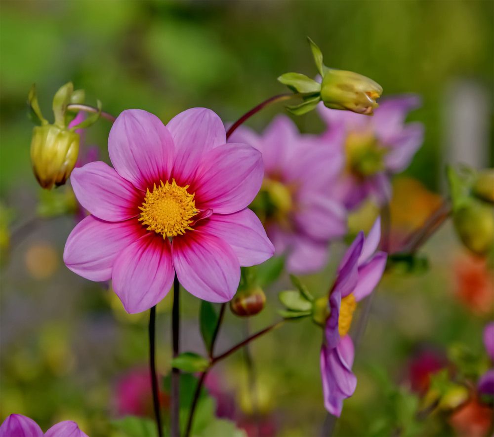 Photograph by Пушкин Сергей