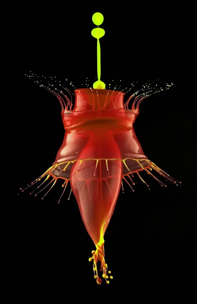 Фотография автора Илан Грабоис