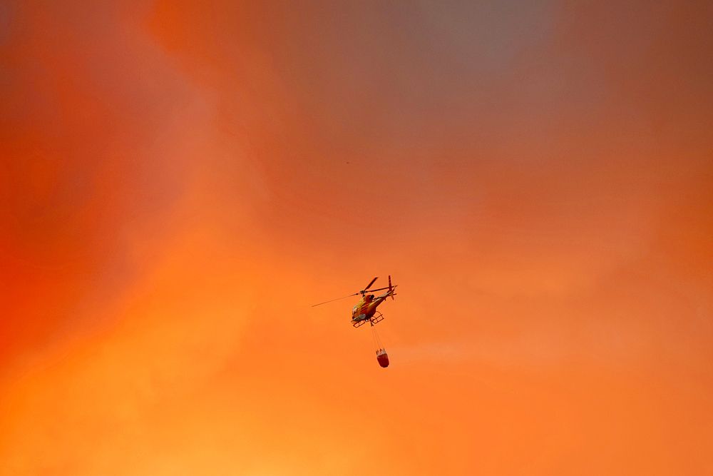 Photograph by Jose Guimaraes