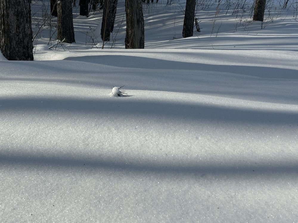 Photograph by Леонид Голубков