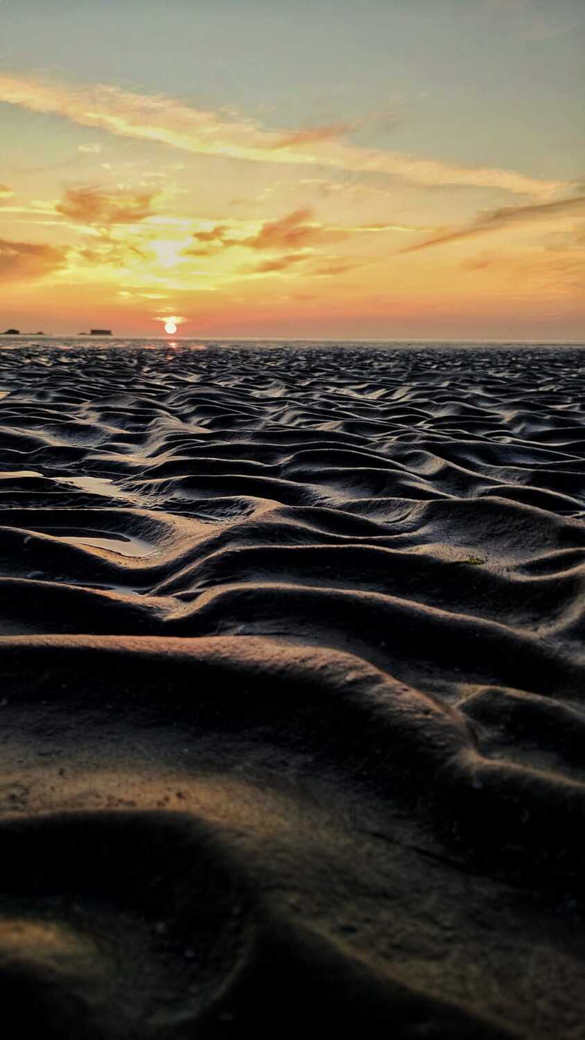 Фотография #13452789