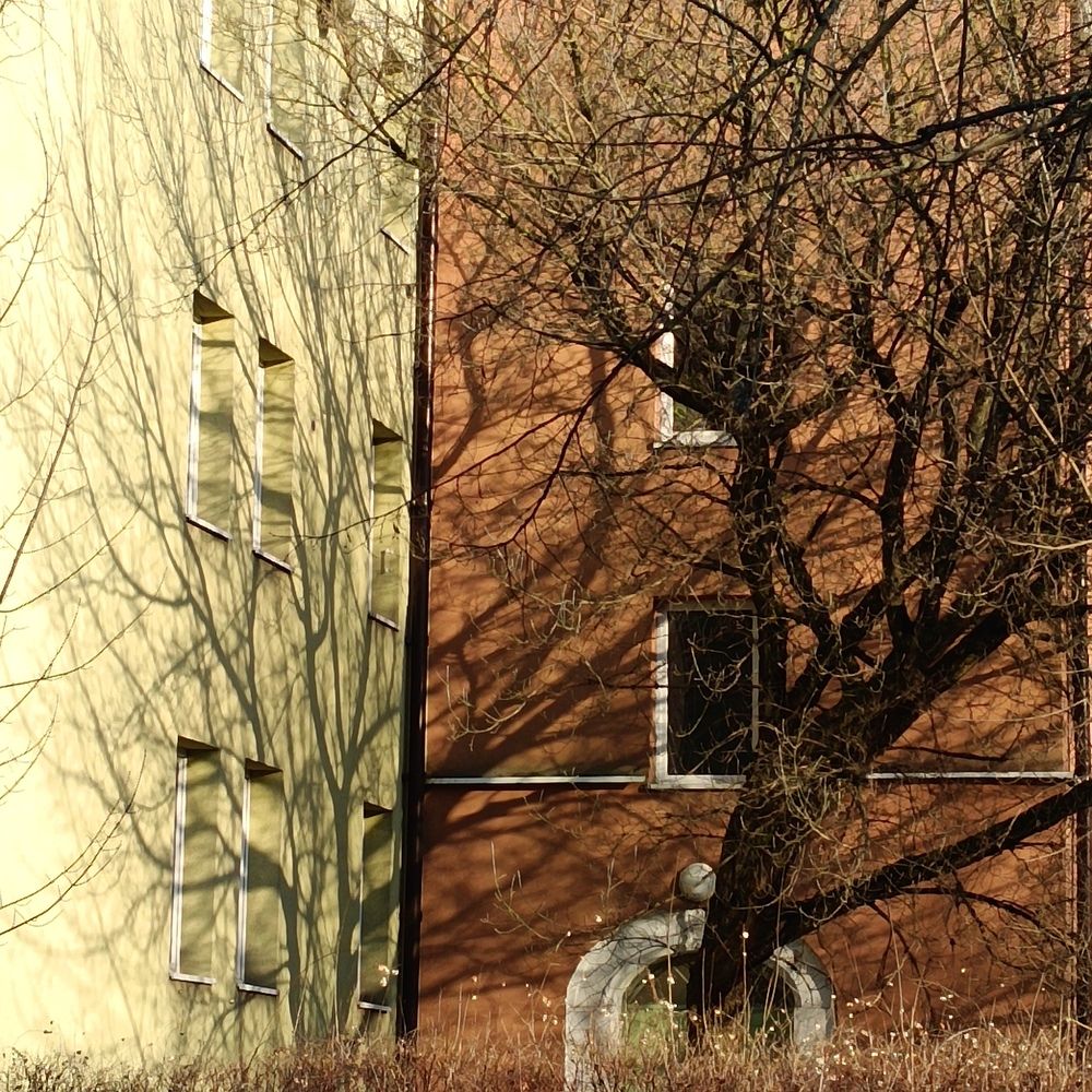 Photograph by Ирина Шведчикова