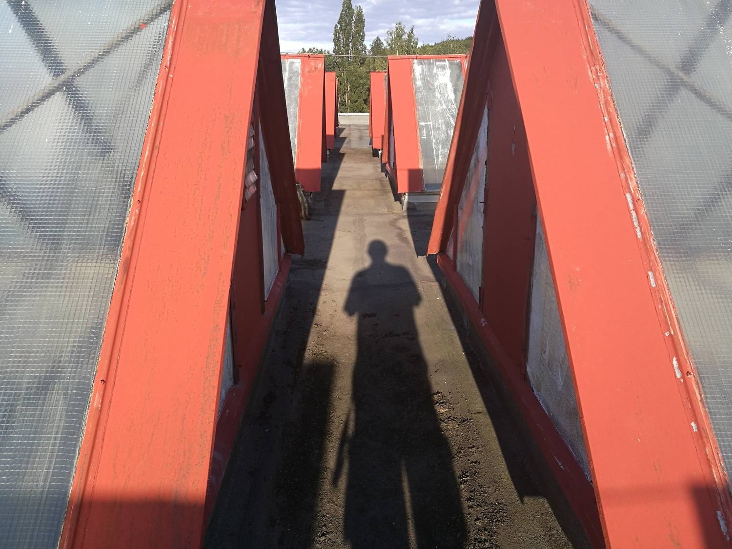 Фотография #13452796