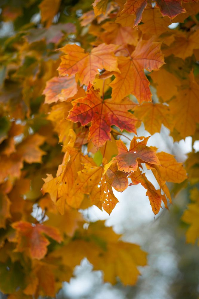 Photograph by Юлия Дёмина