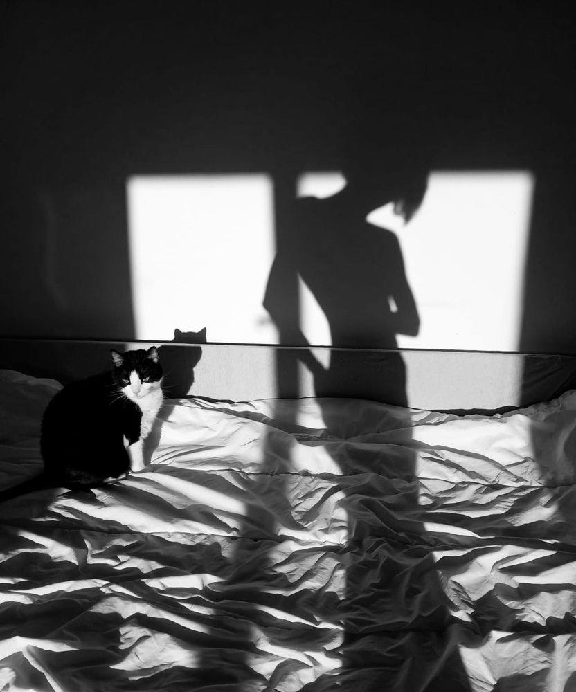 Photograph by Weinstein Isabela