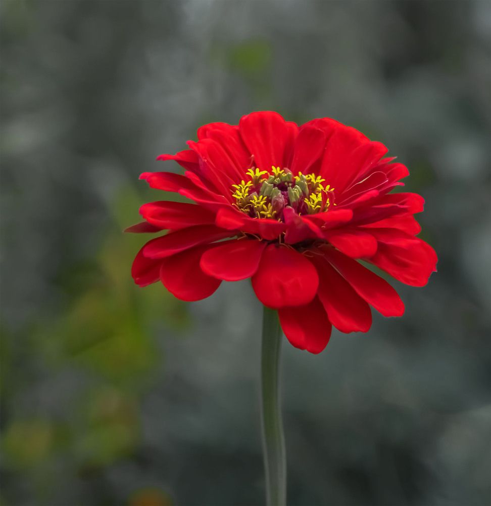 Photograph by Пушкин Сергей