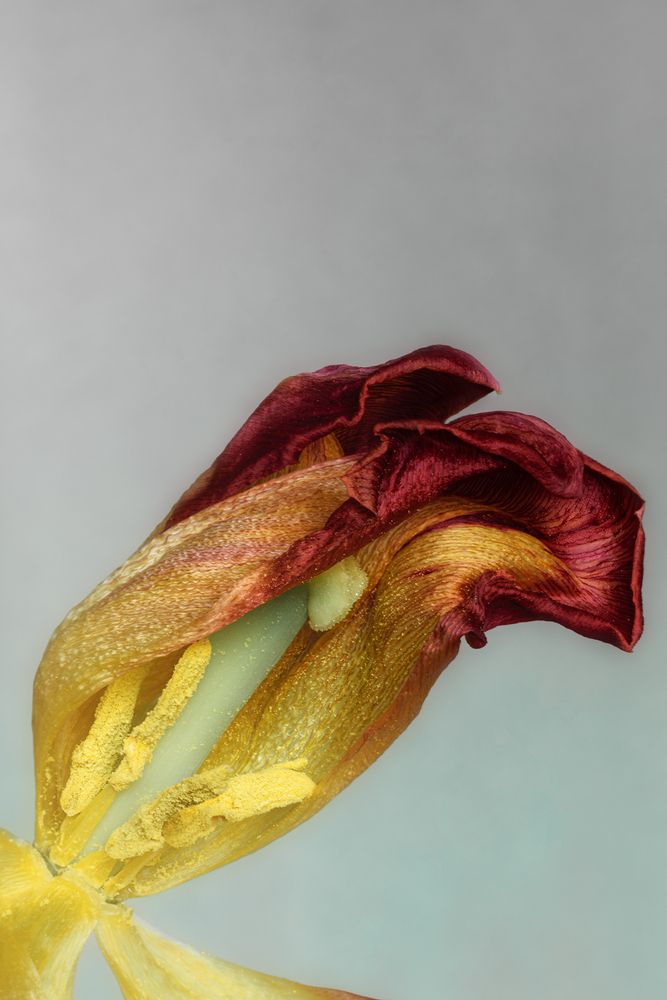 Photograph by Елена Амозова