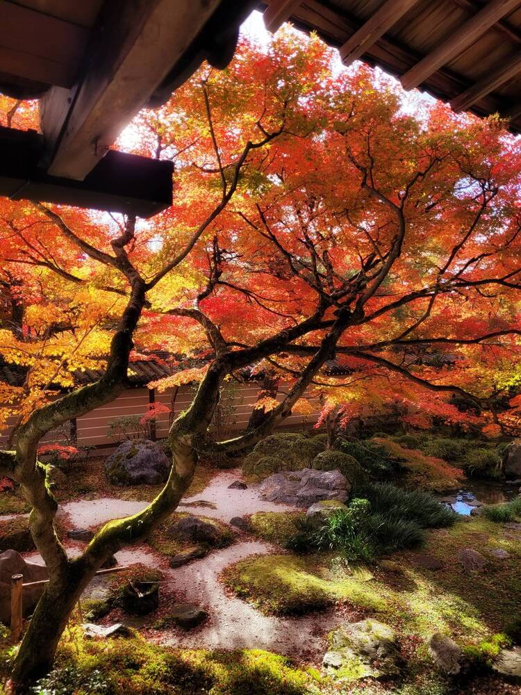 Photograph by Павел Сазанов