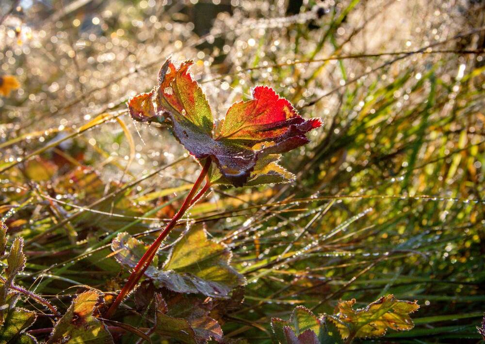 Photograph by Людмила Багинская