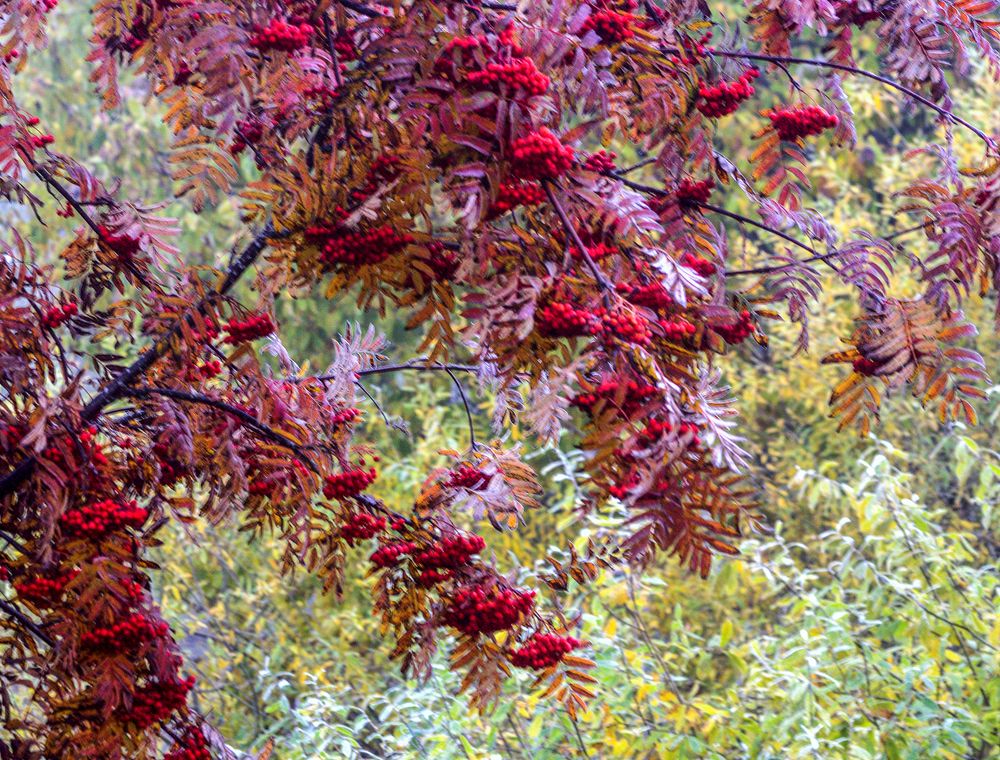 Photograph by Людмила Багинская