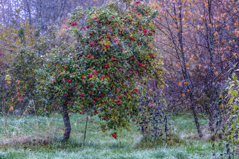 Photograph by Людмила Багинская