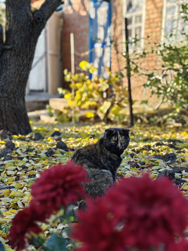 Photograph by Олеся Бажора