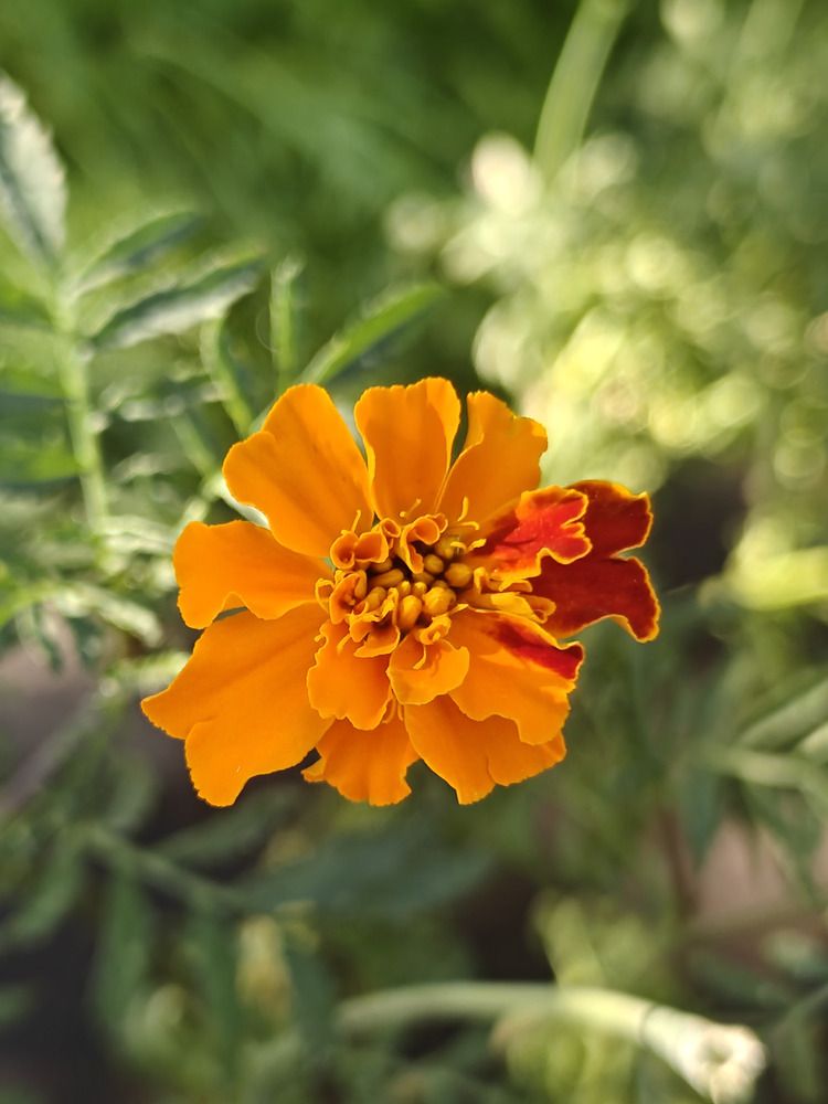 Photograph by Олеся Бажора
