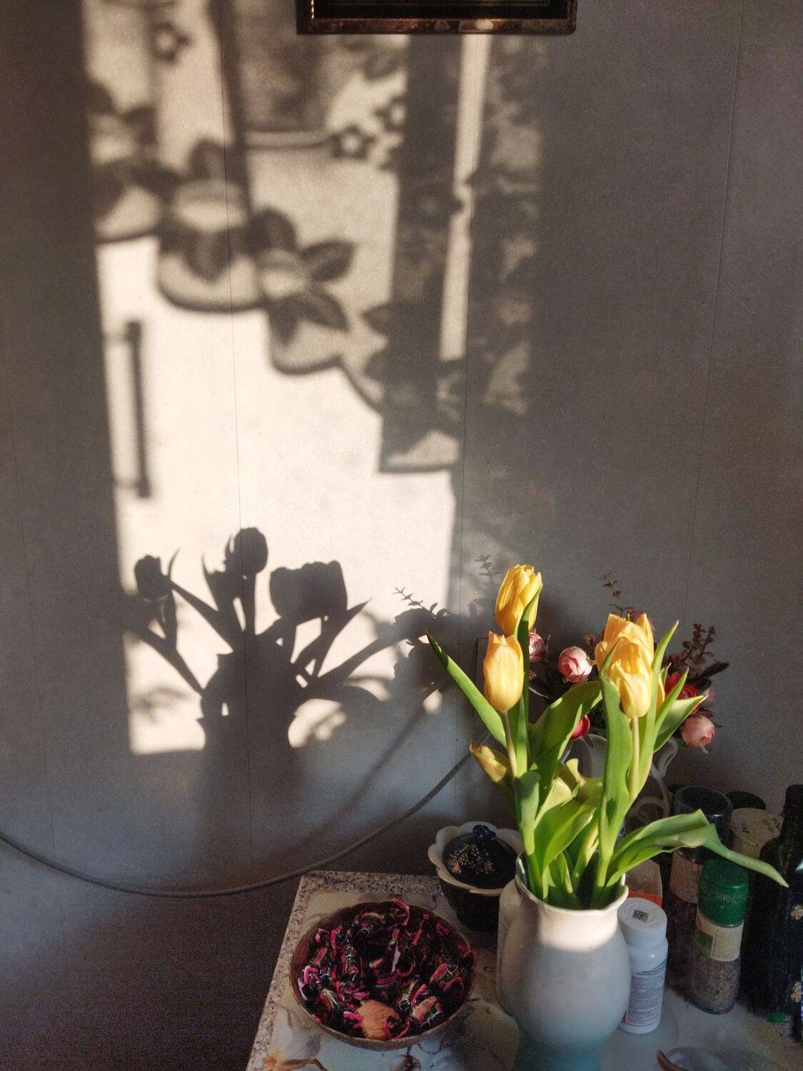 Photo #13452957