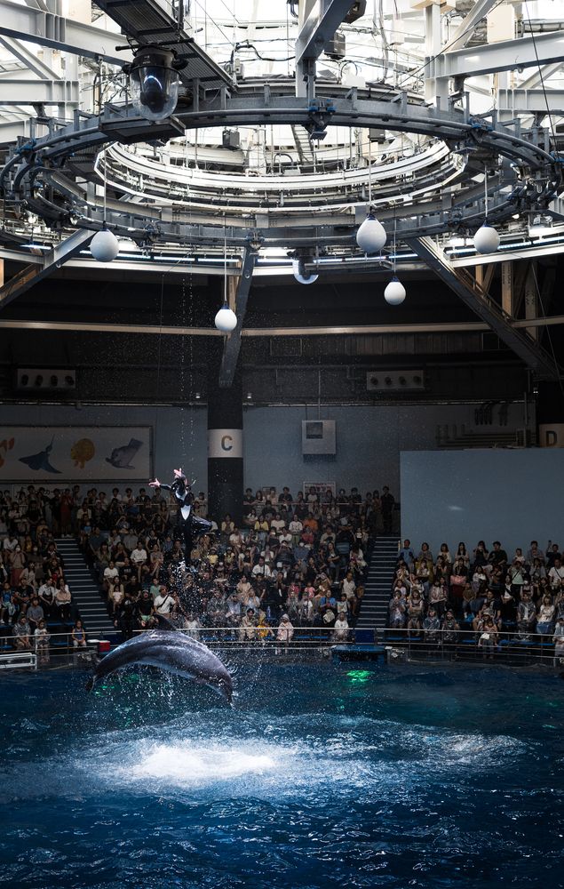 Photograph by AKAO TAITO