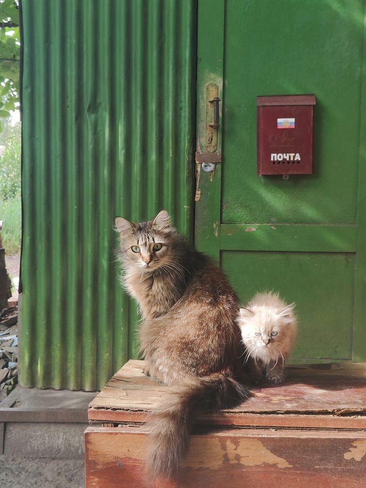 Photograph by Олеся Бажора