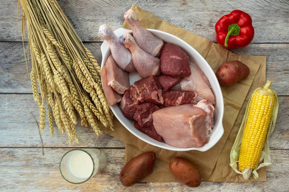 Фотография автора Бычков Валерий