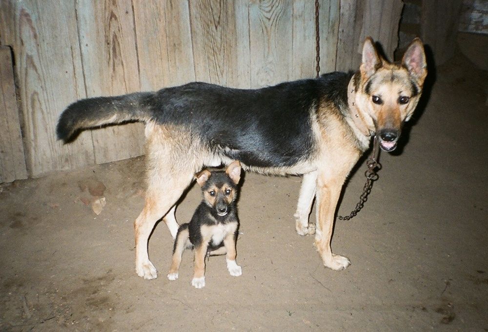 Photograph by Татьяна Иваненкова