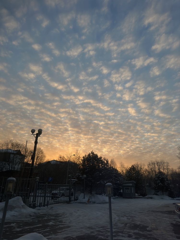 Photograph by Кристина Барахоева