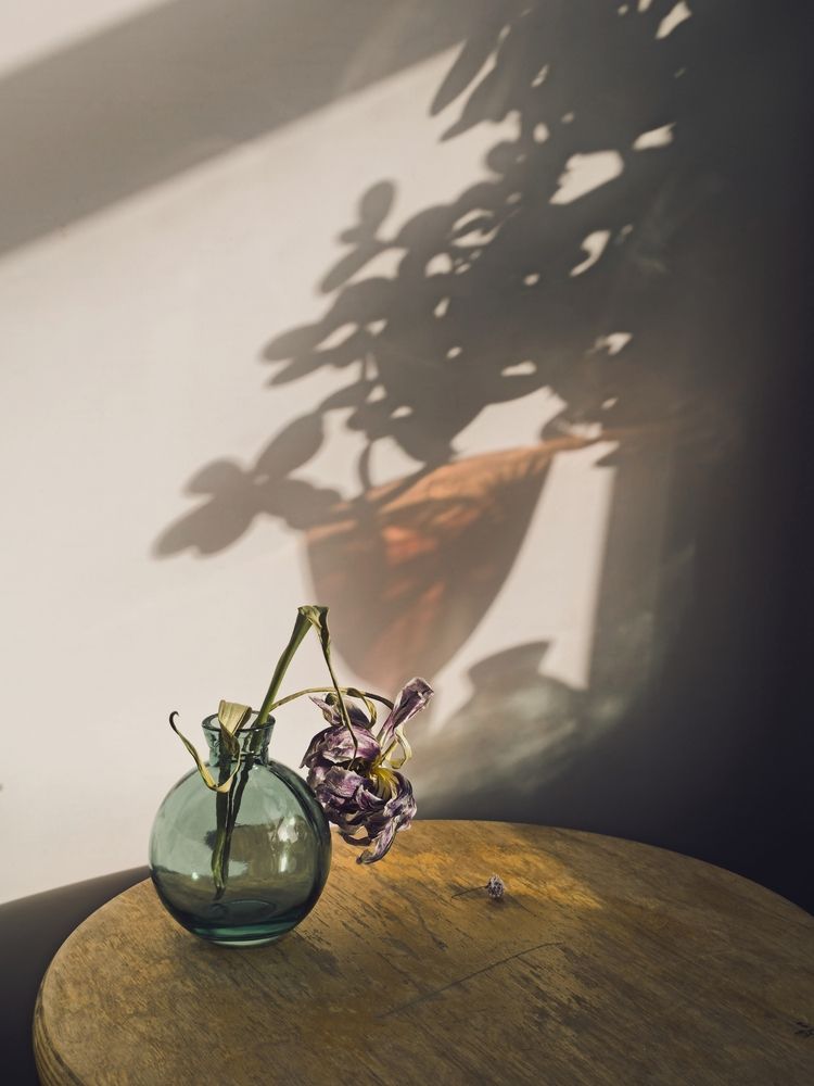 Фотография автора Ольга Репина