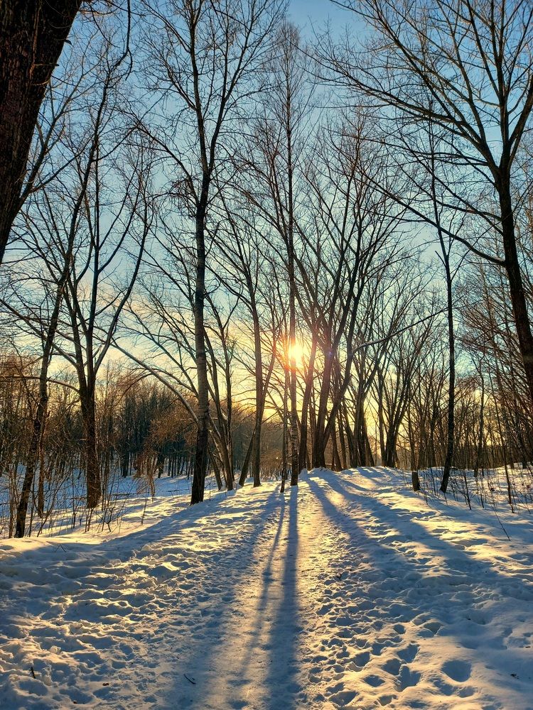 Photograph by Ольга Юрченко