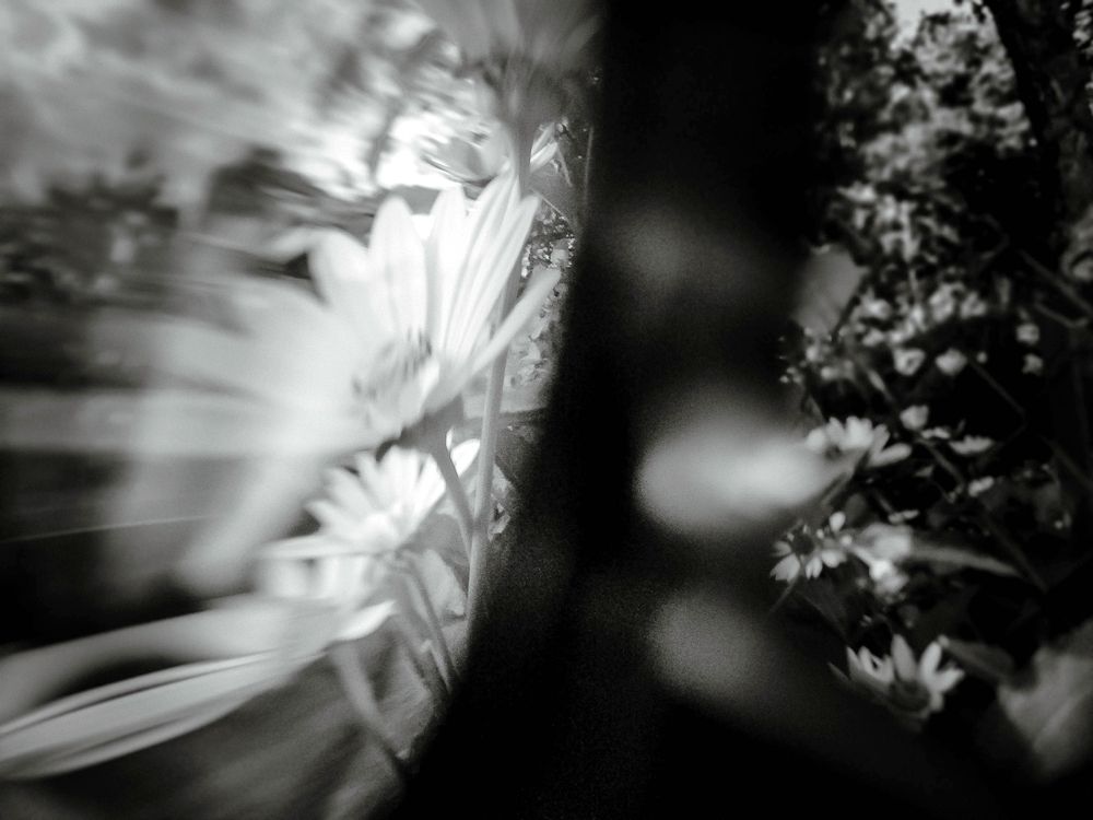 Photograph by Вероника Янина
