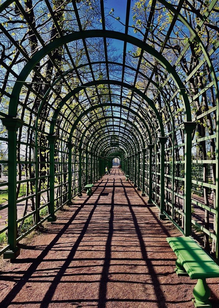 Photograph by Ольга Белоусова