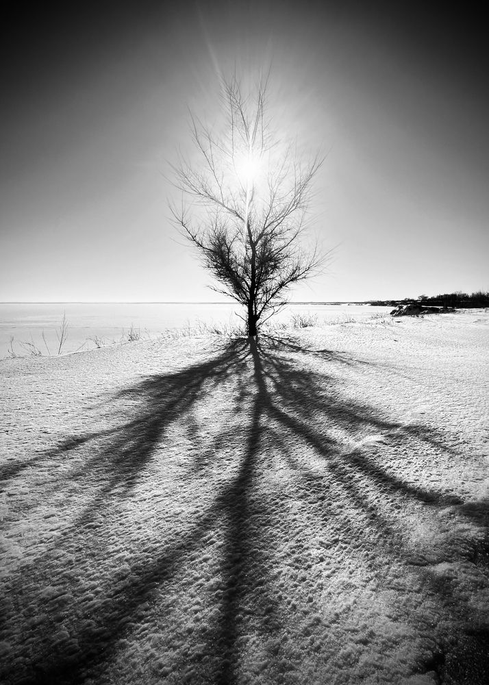 Photograph by Ольга Белоусова